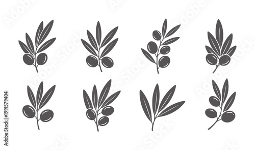 Collection of four dark gray olive branches with leaves and olives white leaf fruit
