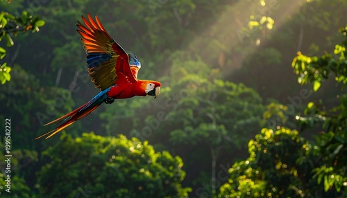 Scarlet Macaw Parrot In Flight Vibrant Wildlife Photograph Red Blue And Yellow Bird Soaring Through Lush Green Tropical Rainforest With Sunbeams