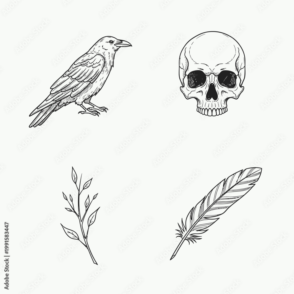 Fototapeta premium Raven skull feather and branch illustrations set on white background