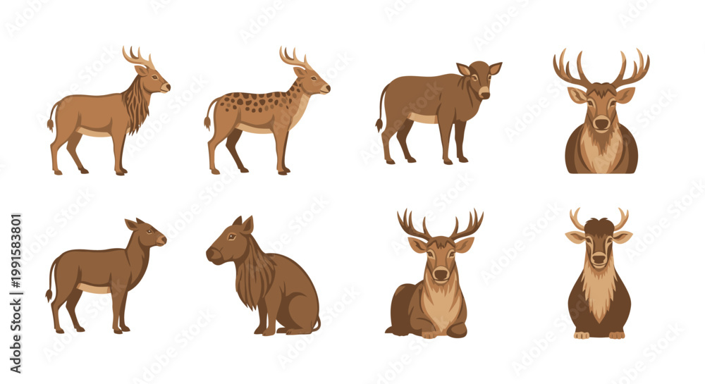 Obraz premium Various deer illustrations in different poses isolated on a white background