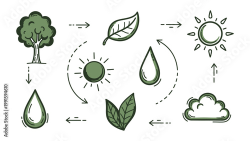 The Cycle of Nature: An artistic illustration depicts the life-giving journey of the natural cycle, portraying the sun's energy transforming into rain, nourishing plant life.