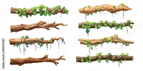 Watercolor set of horizontal wooden branches logs with climbing ivy vines blossoming flowers and berries isolated on transparent background