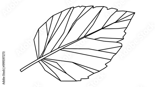Leaf Detail: Intricate lines and patterns define the delicate structure of a single leaf, capturing the essence of organic design.