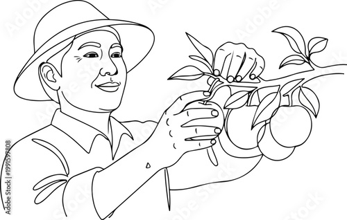 Hand drawn line art of a person harvesting fresh fruits in the garden.