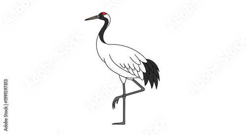 Crane Bird Standing on One Leg.