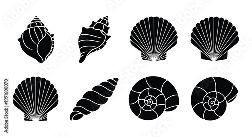 Collection of monochrome seashell silhouettes in various shapes and sizes