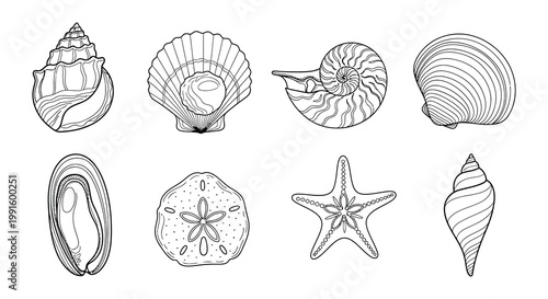 Collection of monochrome seashell silhouettes in various shapes and sizes