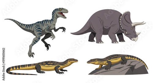 Four different dinosaurs and lizards illustration.