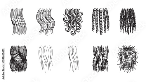 A collection of hand-drawn illustrations showcasing various hair textures and styles, including straight, wavy, curly, coily, and kinky hair patterns.