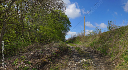 Wege in Feld und Flur am Teutoburger Wald
