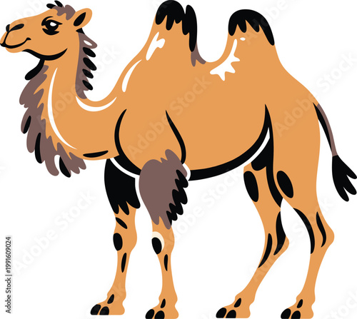 Illustration of a bactrian camel with two humps, standing in profile