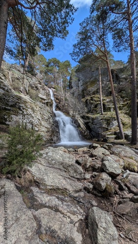 waterfall in the forest