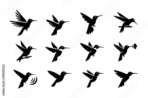 Hummingbird silhouette icons set, minimalist black bird vector collection, 12 flying colibri symbols for nature branding and logo design
