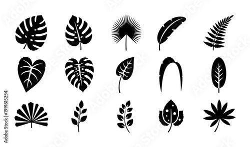 Tropical leaf silhouette collection, 15 black botanical vector icons, monstera and palm foliage set, exotic jungle plant elements for summer design
