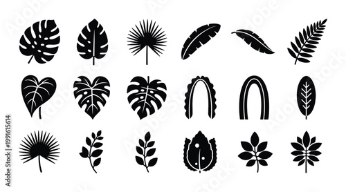 Tropical leaf silhouette collection, set of 18 black jungle foliage icons, monstera and palm leaf vector elements for summer botanical design