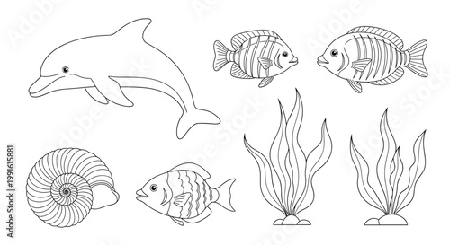 Set of various marine life line drawings featuring a playful dolphin, striped fish, spiral seashell, and aquatic seaweed for ocean themes.