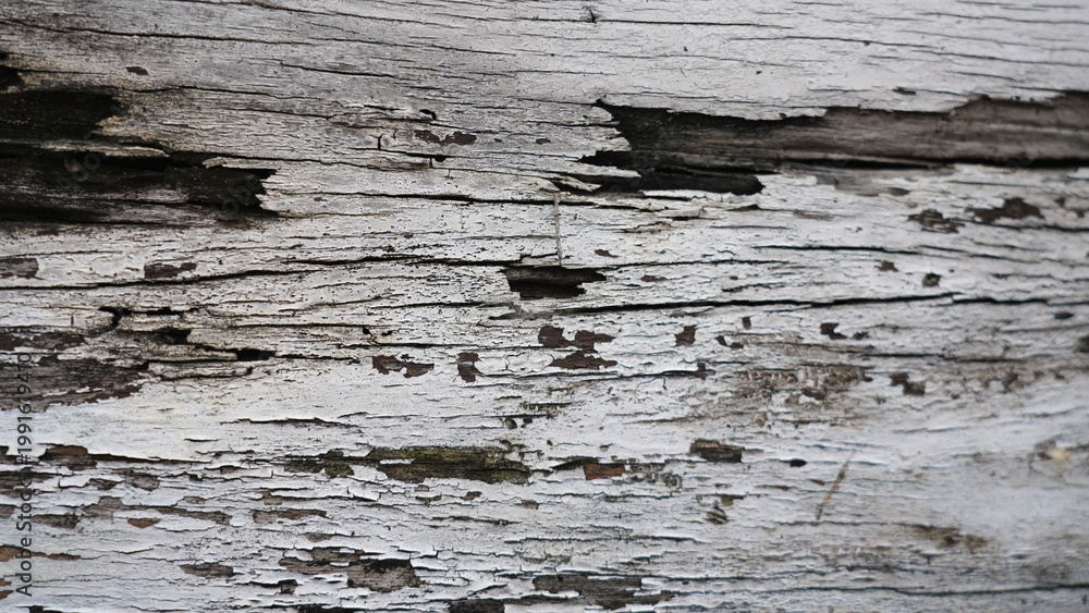 Naklejka premium Old weathered wood texture with peeling surface, rustic brown natural background