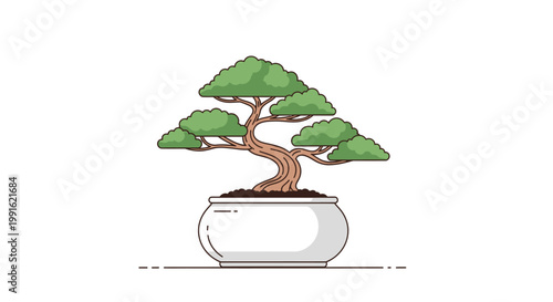 Bonsai tree in a pot.