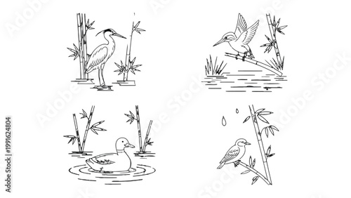 Nature's Artistry: A collection of exquisite line art showcasing the grace of avian life amidst the serene beauty of nature, each stroke a testament to the elegant forms of various bird species.