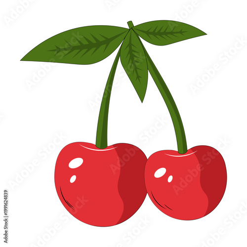 Illustration of Two Red Cherries
