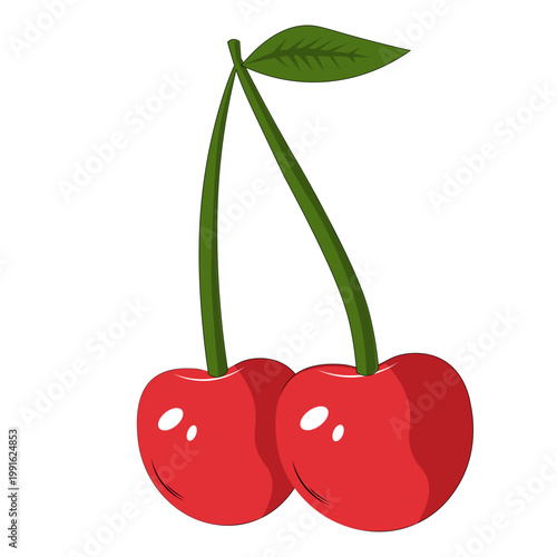 vector illustration of cherry