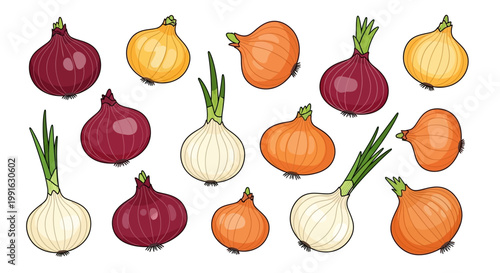 Colorful onions in various shapes sizes.