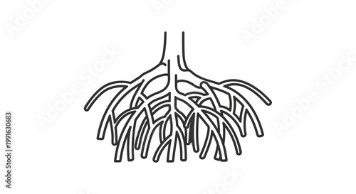 Detailed illustration of bronchial tubes.