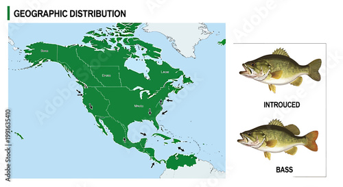 Geographic Distribution of Bass Fish Species.