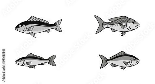 Four Grey Fish Side View Illustration.
