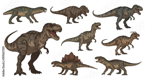 Collection of various dinosaur species illustration isolated on white.