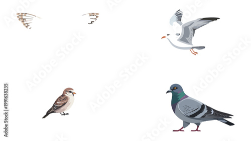 Feathered Friends: A collection of various birds. Featuring a serene pigeon and other distinct bird illustrations against a backdrop.