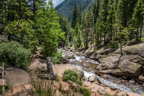 Scenic Rocky Mountain Landscape with Evergreen Hillside in Rocky Mountain NP, Colorado