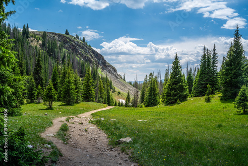 Scenic Rocky Mountain Landscape with Evergreen Hillside in Rocky Mountain NP, Colorado