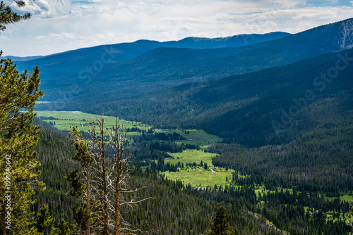 Scenic Rocky Mountain Landscape with Evergreen Hillside in Rocky Mountain NP, Colorado