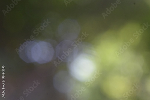 Fotografia Abstract nature bokeh with soft green, white, and purplish light orbs