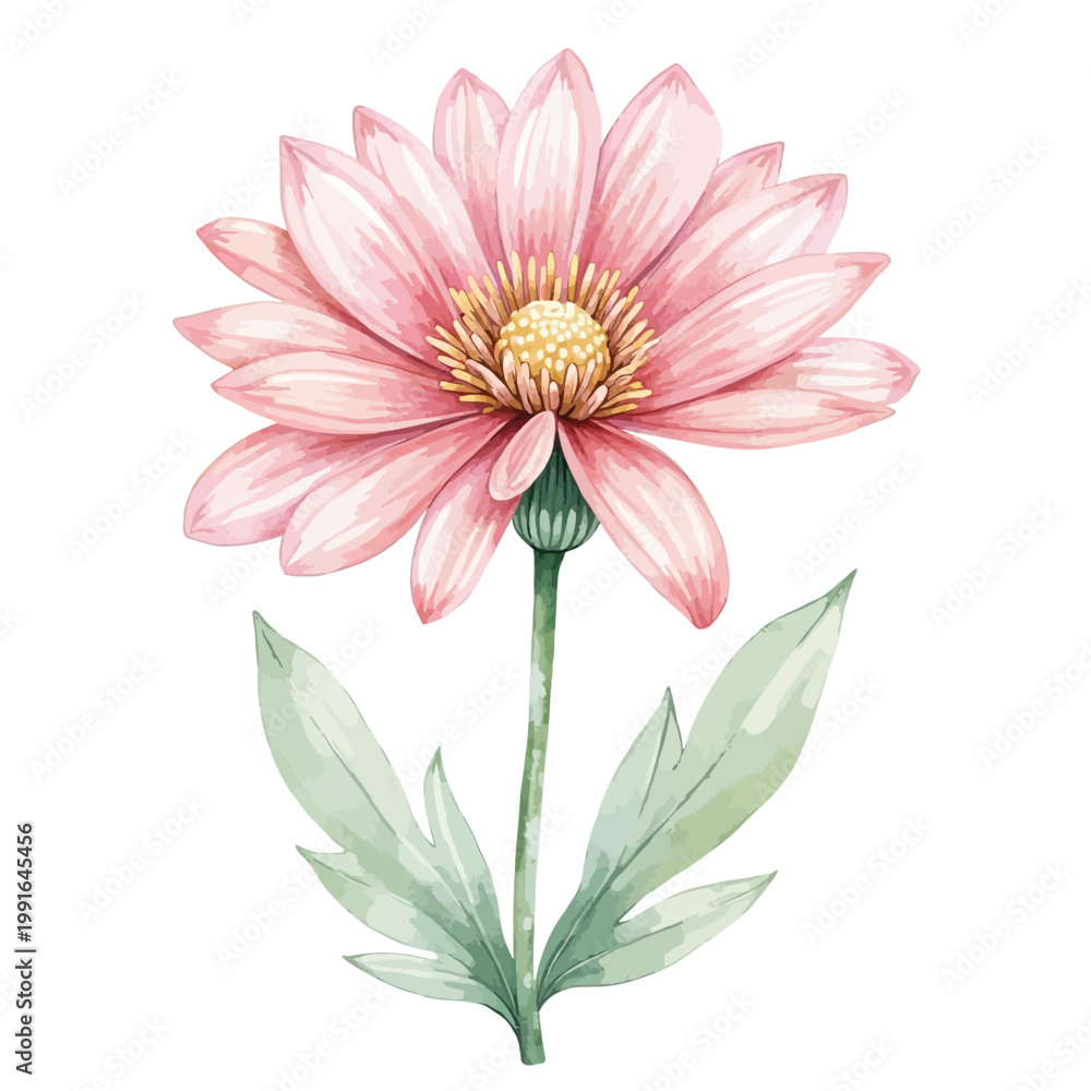 Obraz premium Pink Watercolor Flower Dahlia with Green Stem and Leaves