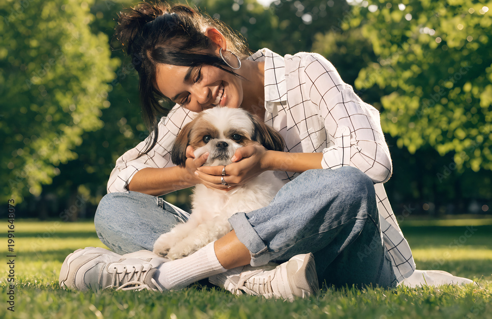 Fototapeta premium smiling young woman sitting on green grass in park, gently petting small shih tzu dog, cute fluffy dog looking at camera, summer outdoor setting, natural sunlight, blurred green trees background, warm