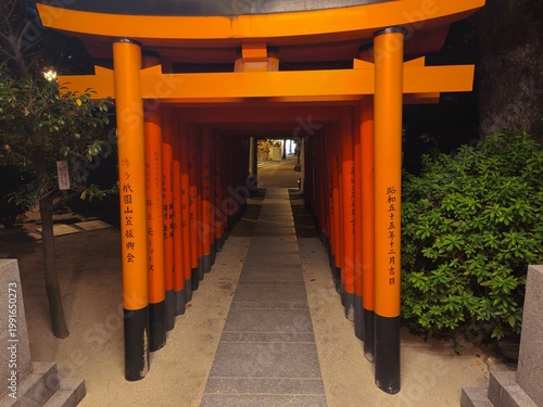Voyage au Japon