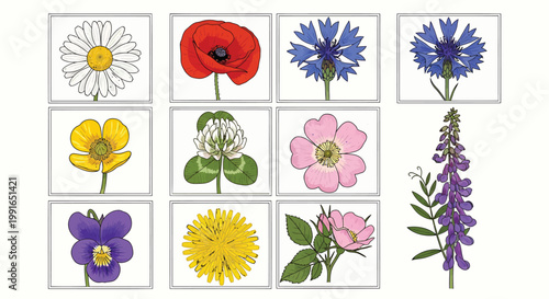 Floral Icons, Vector Flowers, Colorful Botanical Illustrations, 9 Floral Elements
