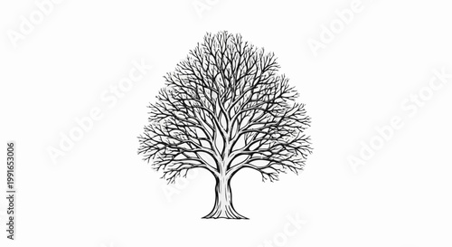 Stylized black and white illustration of a deciduous tree in winter