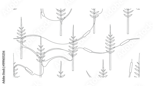 a line drawing of several plants.