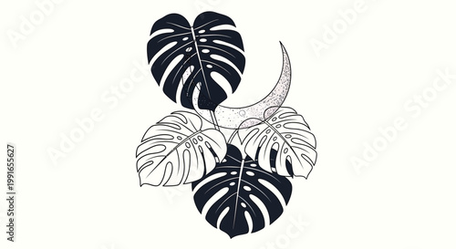 Tropical Monstera Leaves, Black and White Vector Illustration, Leafy Foliage, Botanical Elements, 5pcs