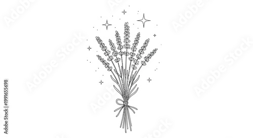 Bouquet of lavender flowers, tied with ribbon, surrounded by sparkles, minimalist illustration, black and white vector