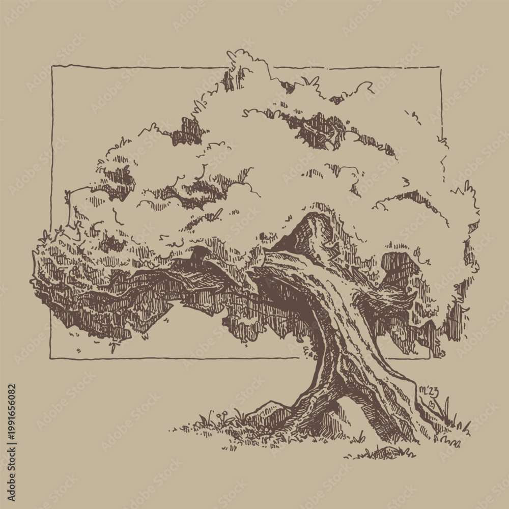 Obraz premium Bonsai tree composition framed in traditional artistic style