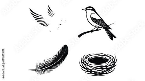 Birds Collection - Serene Sketches: A collection of exquisite sketches showcases a perched bird, soaring wings, a delicate feather, and a meticulously crafted nest.