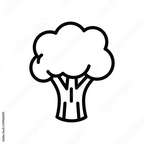 Clean vector line art illustration of single broccoli floret for healthy eating and culinary recipe design content