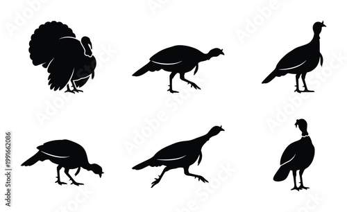 Wild turkey silhouette collection, 6 black bird vector icons, thanksgiving poultry farm animal set, hunting and nature design elements