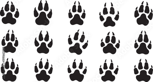 black bear paw prints with different claw styles on a white background illustration art