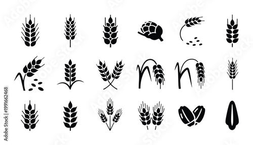 Wheat ear icons set, black cereal grain stalks and barley silhouettes, 18 organic agriculture vector elements for bakery logo design and farming