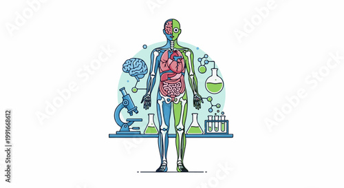 Anatomical diagram with internal organs, brain, microscope, and beakers
